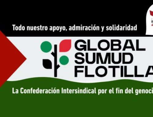 Todos los ojos miran hacia la flotilla