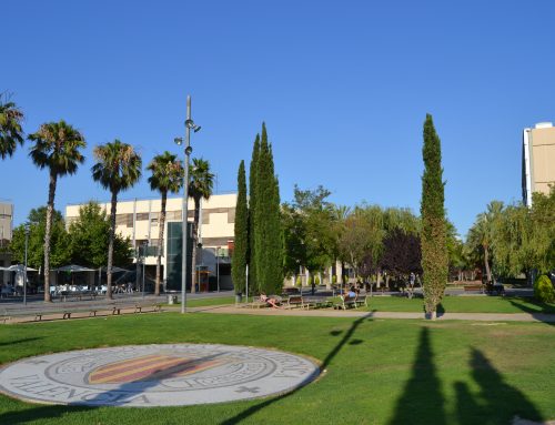 [:va]Nomenament d’un nou vicegerent: en casa del sabater, sabates de paper.[:es]Nombramiento de un nuevo Vicegerente: en casa del herrero, cuchillo de palo.[:]